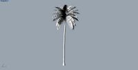 plant tree palm plant herb bush flower pot | 3D