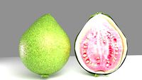 3d Guava