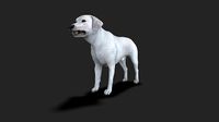 ALAB-070 Angry Dog