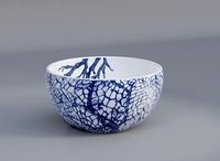 Pier 1 Sea Adventure Coral 6 Rice Bowls