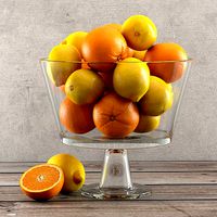 Quality Oranges Fruits in