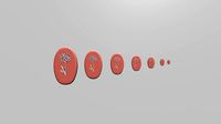polymer clay cutters flowers | 3D