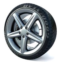 Wheel rim tire 21
