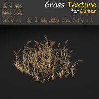 Dry WheatGrass Texture 3D Model