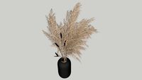 Pampas in vaas / vase