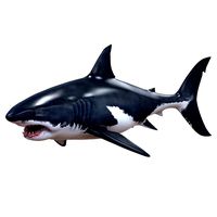 white shark