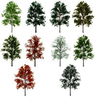 tree 2