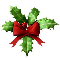 christmas holly