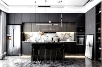 modern style open kitchen