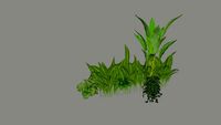 Plantas macetero pared