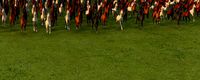 horse group