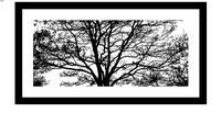 AFI7674A+-+barren-2729724+-+80x40.skp