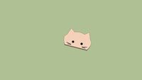 Gato Duna