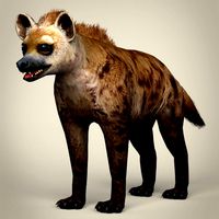 low poly hyena