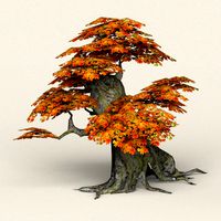 low poly maple tree 05