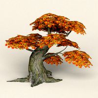 low poly maple tree 06