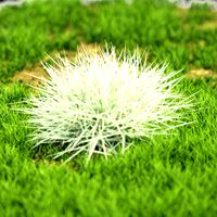 bush-x10-61to70