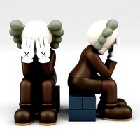 kaws passing through companion