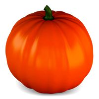 cartoon pumpkin v 1