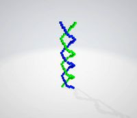 voxeldna