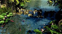 the stream