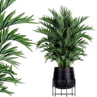 decorative palm in a flowerpot 731