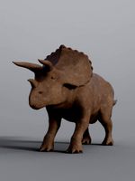 triceratops