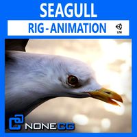 animated seagull unity