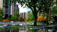 residential community landscape 73