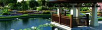 residential community landscape 32