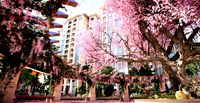 residential community landscape 60