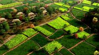 farmland