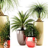 plants collection 101 awesomeplanters