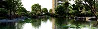 residential community landscape 16