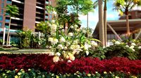 residential community landscape 14