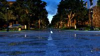 residential area road 21