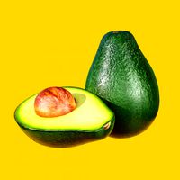 photorealistic realtime avocado