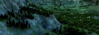 jungle