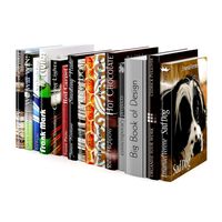 Books Set 06 3D Model