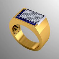 ring ak 1