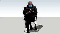 Bernie_ Mittens