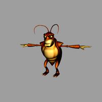 locust