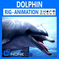animated bottlenose dolphin