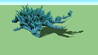 Juniperus horizontalis 'Blue Chip'