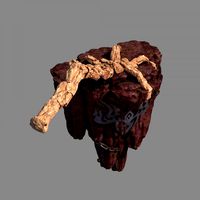 meteorite purgatory-claws-front right