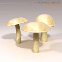 Mushrooms 3D Model