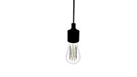 lichtbron edison peer
