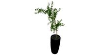 Vaso Bambu Mossô