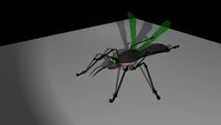 Mosquito 3D Model