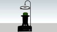 Automatic cactus pot